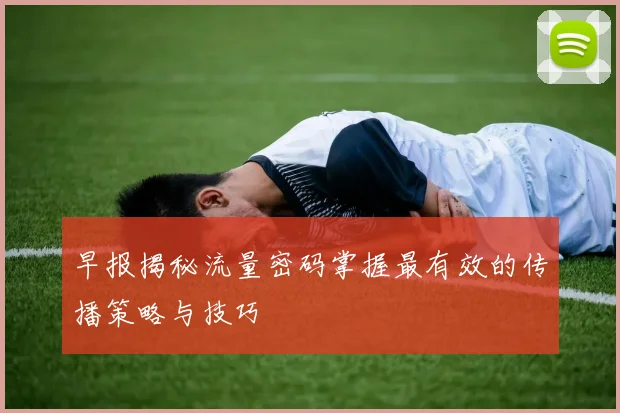 早报揭秘流量密码掌握最有效的传播策略与技巧