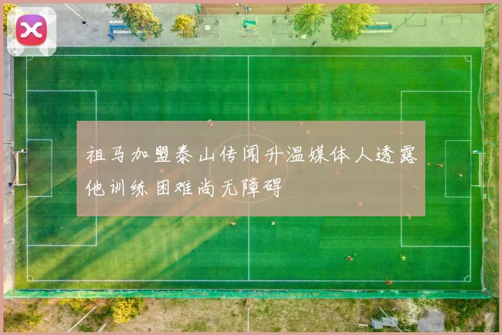 祖马加盟泰山传闻升温媒体人透露他训练困难尚无障碍