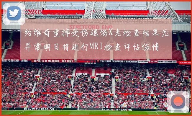 约维奇重摔受伤退场X光检查结果无异常明日将进行MRI检查评估伤情