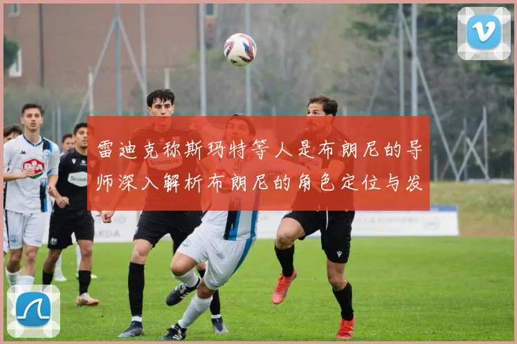 雷迪克称斯玛特等人是布朗尼的导师深入解析布朗尼的角色定位与发展方向