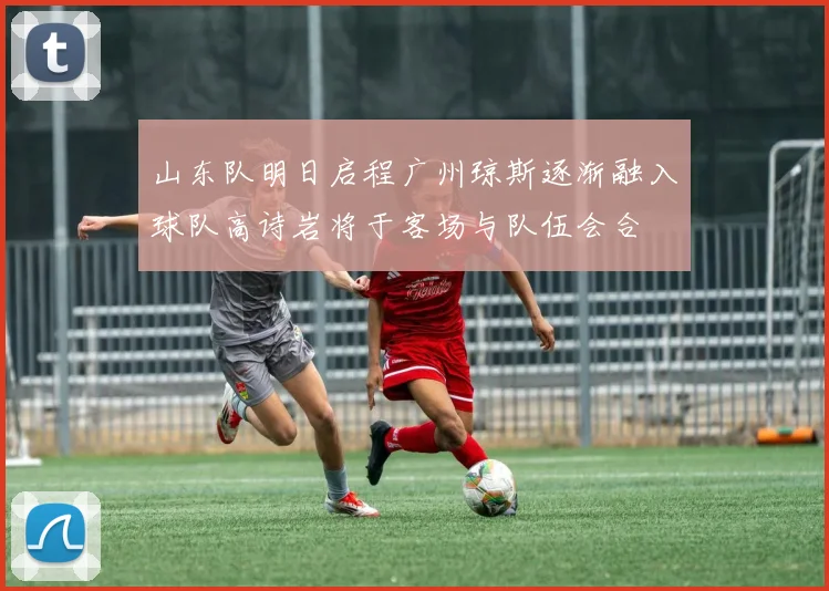 山东队明日启程广州琼斯逐渐融入球队高诗岩将于客场与队伍会合