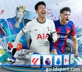 用内容积累长期价值 | LDSPORTS